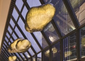 DoubleTree by Hilton Hotel Chongqing North 3