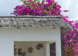 Villa Kiva Boutique Hotel 3