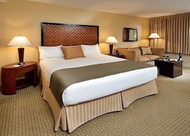 THE SKYLINE HOTEL NEW YORK 2