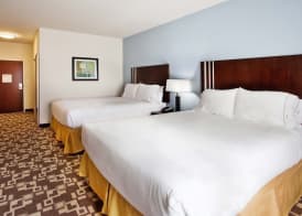 Holiday Inn Express & Suites ATLANTA ARPT WEST - CAMP CREEK by IHG 5