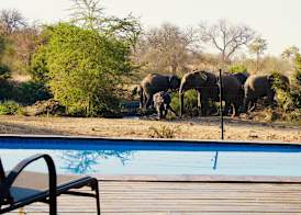 Zazu Private Bush Lodge, Formerly Masodini 2