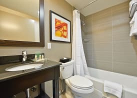 Holiday Inn NYC - LOWER EAST SIDE by IHG 2