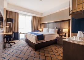 Holiday Inn KAYSERI - DUVENONU by IHG 3