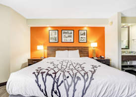 Wingate by Wyndham Leesburg Florida 3