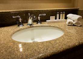 Isle Casino Hotel Waterloo Hotel & Casino - A Caesars Rewards Destination 3