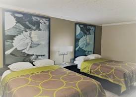 Super 8 by Wyndham Picayune 3