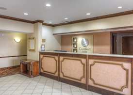 Comfort Inn Henderson - Evansville South 3