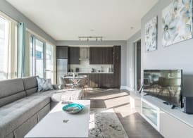 Modern Downtown Apartments 3