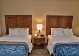 Comfort Inn Apalachin - Binghamton W Route 17 3