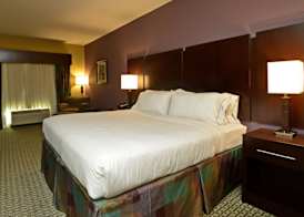 Holiday Inn Express & Suites BATON ROUGE NORTH by IHG 3