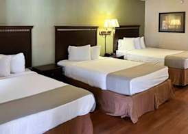 Motel 6 Abbeville, AL 4