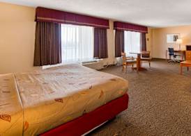 Best Western Thunderbird Motel 5