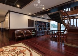 Erina Cruise 3