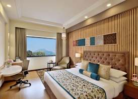 Radisson Srinagar 3