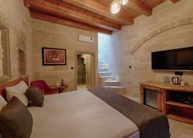 Concept Cave House 5