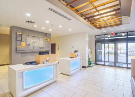 Holiday Inn Express & Suites TAMPA -USF-BUSCH GARDENS by IHG 2