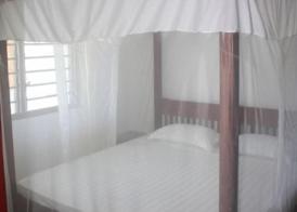 Morning Star Diani 3