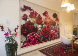 B&B 7 Rooms 3