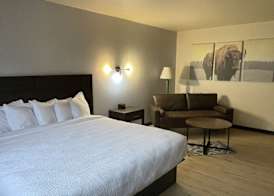 The Scout INN 4