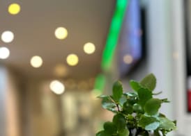 Hotel Rheinfall 3