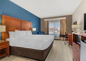 Comfort Inn & Suites Red Oak - Dallas Area 5
