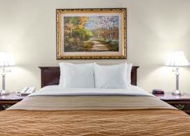 Comfort Inn Plainwell 3