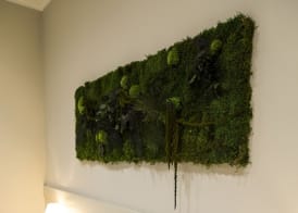 Aeterno Eco Guest House 5