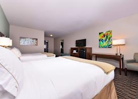 Holiday Inn Express & Suites INDIO - COACHELLA VALLEY by IHG 3