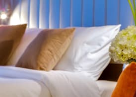 Park Inn by Radisson Brampton, ON 5