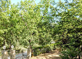 Agriturismo Cavalierino 3