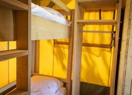 Well Furnished Tent Lodge with Terrace near Veluwe 3