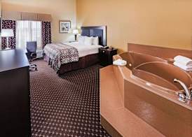 La Quinta by Wyndham Alvin 4