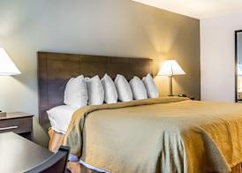 Quality Inn & Suites University-Airport 5