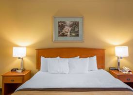 Quality Inn & Suites MidAmerica Industrial Park Area 4