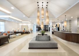 Holiday Inn Express DUBAI - JUMEIRAH by IHG 4