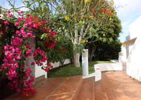 Caniço Bay Club 3