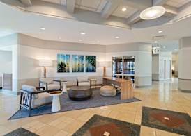 Embassy Suites by Hilton Tampa USF Near Busch Gardens 4