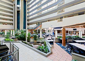 Embassy Suites by Hilton Tampa USF Near Busch Gardens 2