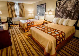 Super 8 by Wyndham State College 5
