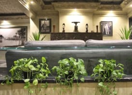 The New Garden Palace Hotel 3