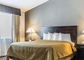 Quality Inn & Suites University-Airport 3