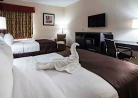 Best Western Mulberry Hotel 5