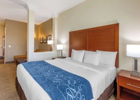 Comfort Suites Near Denver Downtown 5