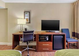 Comfort Inn St Petersburg North 5