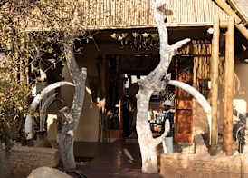 Phumelelo Lodge 3
