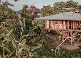 Grün Ubud 3