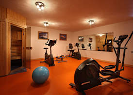 Chalet des Neiges Plein Sud 3