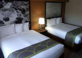 Super 8 by Wyndham Lynnwood 4