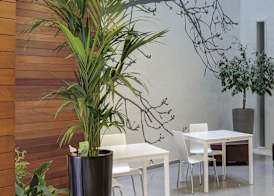 Hostal La Creu 5