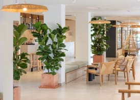 Copaiba by Honne Hotels - Adults Only 2
